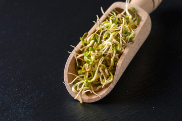 radish sprouts in wooden scoop on black slate plate background. nutrition. bio. natural food ingredient.