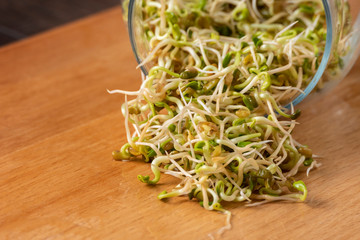 Fototapeta na wymiar radish sprouts in glass jar on wooden background. nutrition. food ingredient.