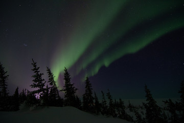 northern lights aurora borealis in churchill manitoba canada