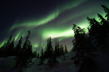northern lights in churchill manitoba canada