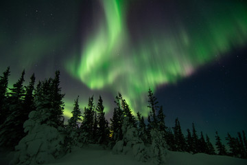 northern lights in churchill manitoba canada