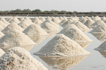 A lot of table salt in the salt fields of Thailand.