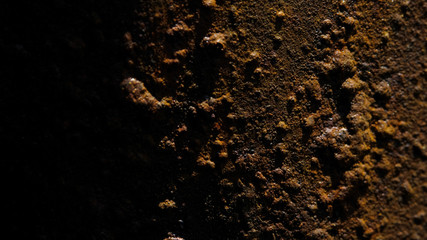 Abstract macro photography – Close up brown moss on dark hidden spot