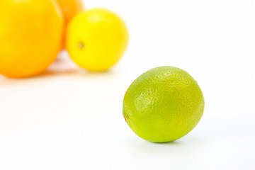 green lemon on the background of different citrus fruits on white background