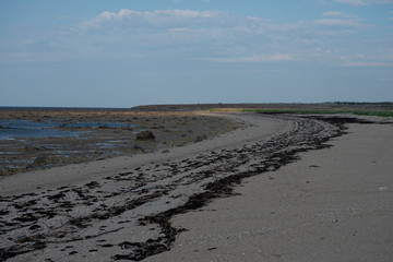 sandy beach in churchill manitoba on the shores of the hudson bay