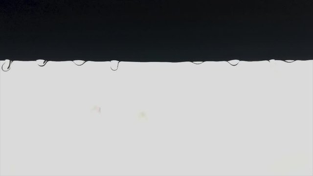 Backlit Slow Motion Raindrops Falling off a window sill