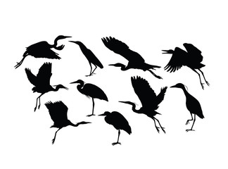 Heron and Stork Bird Silhouettes, art vector design