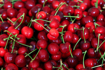 Large cherry