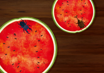 夏：虫　西瓜　スイカ割り　自然　真夏　夏休み　思い出　果物　水彩　手描き　フルーツ　種　果汁