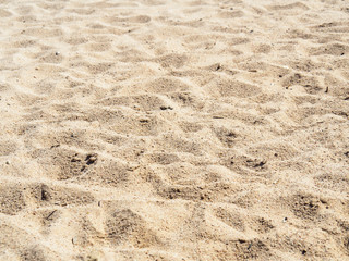 Sandy beach, top view. Close up photo of sand on tropical beach. Background for travel and vacation