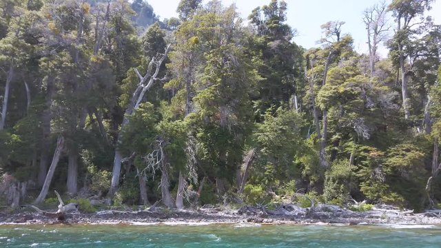 The submerged forest in Lake Traful, Patagonia Argentina. Some versions warn of a possible slope of the mountain slope and a potential tsunami