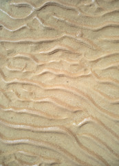 Wet sand close up. Texture of sand with water, small dunes. The sea shore at low tide