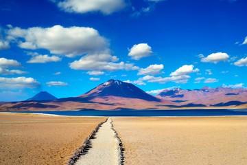 Laguna Miñiques, Atacama, Lagunas altiplanicas.  © Teo Gentile
