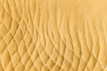 Details of texture of sand. abstract background pattern