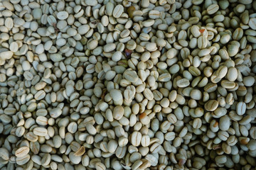 Raw coffee beans background and texture.