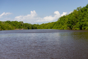 Rio Tatuamunha Alagoas Peixe Boi