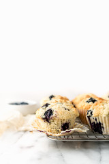 Blueberry Muffins On a Porcelain Plate