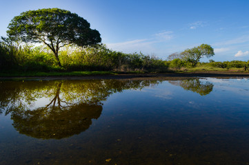 Obraz premium The shades of New Caledonia & Family times
