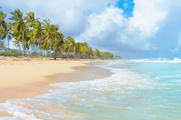 Fototapeta na wymiar Coconut Palm trees and blue water on white sand, beach in Caribbean sea, Playa Macao. Dominican Republic.
