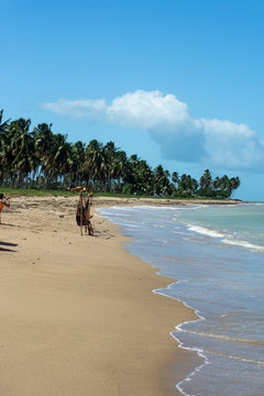 Praia do Patacho