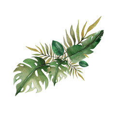 Hand drawing watercolor composition of tropical leaves.  illustration isolated on white