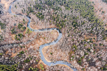 aerial landscape of winding river in coniferous and deciduous forest. top view from drone