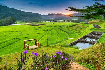 Gordijnen Rijstvelden Sunshine in spring season on terrace rice field at maeklanglaung village,Doi inthanon ,Chiang mai ,Thailand  © kaoklong