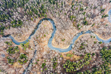 Aerial view of Isloch river valley in Nalibokskaya Forest, Belarus. Small river winding through meadows surrounded by mixed tree forest