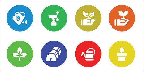 Modern Simple Set of sprout Vector filled Icons