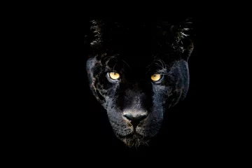 Zelfklevend Fotobehang Zwarte jaguar met een zwarte achtergrond © AB Photography