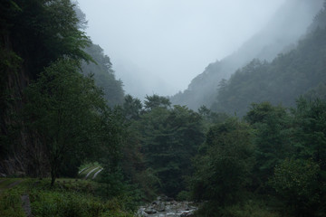 Fototapeta na wymiar misty forests in chinese mountains sichuan province