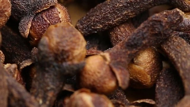Close-up of a rotating clove