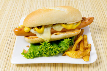 hot dog with mustard and salad