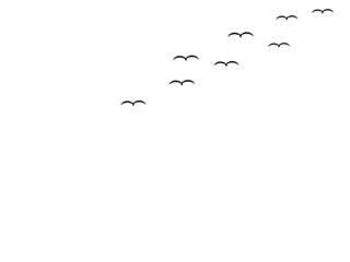 Silhouette flying bird in the sky Isolated Black and white Vector illustration
