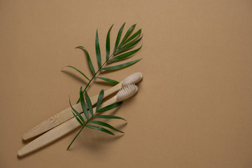 top view eco friendly wooden tooth brushes  and green tropical leaves layout on a brown background with copy space
