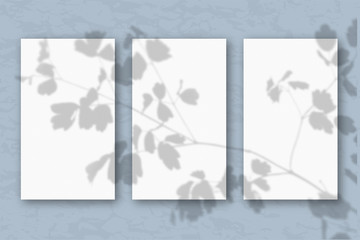 3 vertical sheets of white textured paper on a pastel blue wall background. Mockup with an overlay of plant shadows. Natural light casts a shadow from the top of the field plants and flowers.