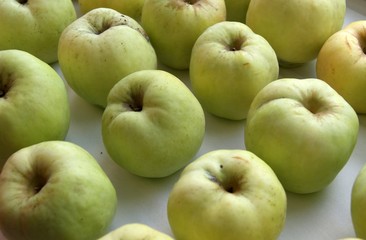 Background of large green apples. Organic apples
