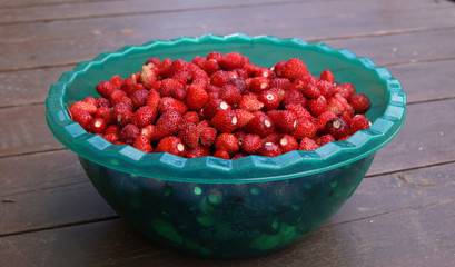 Small ripe red strawberries in a plastic translucent bowl. Organic natural berries.