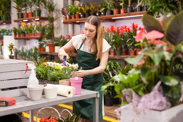 Fototapeta na wymiar Florist in an apron caring for flowers in a flower shop