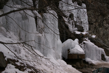 a tree next to a frozen waterfall