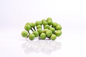 Solanum torvum on a white background.