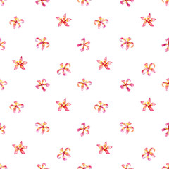 Seamless pattern of watercolor spring pink flowers. White background.