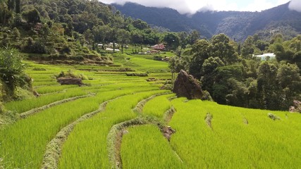 View of village landscape with scenic rice fields on hill terrace, organic farming