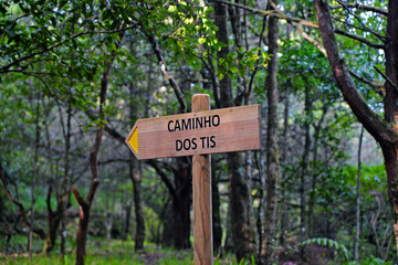 sign in forest