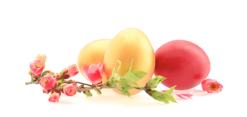 Easter eggs painted in gold with blossom twig isolated on white