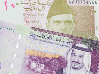 A pink and grey ten Pakistani rupee bank note with a five Saudi riyal bank note in macro