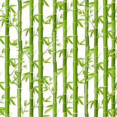 Fototapety  Bambus wektor wzór. Zielony bambusowy gaj na białym tle. Bezszwowa tekstura w stylu japońskim do tekstyliów kuchennych, papieru do pakowania, projektowania tapet, tkanin.