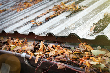A dirty roof with a clogged gutter and drainpipe around the house. Leaves and branches as a...