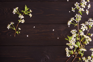 background of a wooden table decorated with branches and cherry flowers