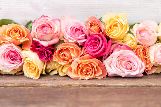 Prachtvolle Rosen für Dich.